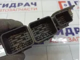Блок управления двигателем Citroen C4 9675495080