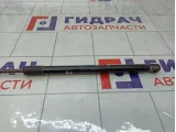 Амортизатор крышки (двери) багажника левый Citroen C4 9800717780