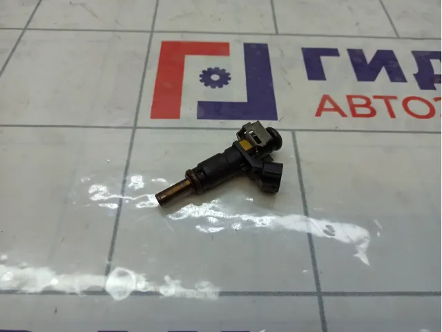 Форсунка инжекторная Citroen C4 752817680