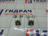 Петли двери багажника Citroen C4