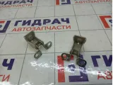Петли двери багажника Citroen C4