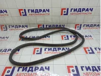 Уплотнитель двери передней левой Citroen C4 9025CN