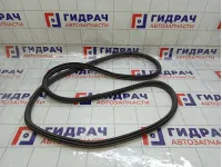 Уплотнитель двери передней правой Citroen C4 9025CN