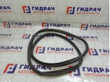 Уплотнитель двери задней левой Citroen C4 9025CP