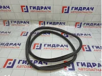 Уплотнитель двери задней левой Citroen C4 9025CP