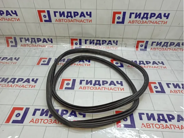 Уплотнитель двери задней левой Citroen C4 9025CP