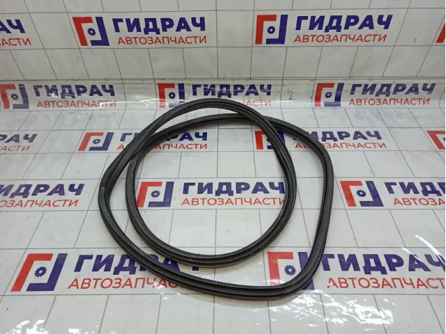 Уплотнитель двери задней правой Citroen C4 9025CP