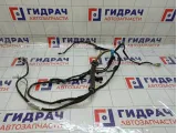 Проводка двери багажника Citroen C4 9675700580