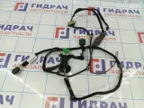 Проводка двери задней левой Citroen  C4 II 9805561080