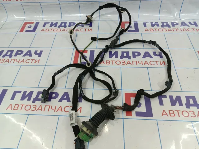 Проводка двери задней правой Citroen  C4 II 9805561080