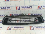 Решетка в бампер центральная Citroen  C4 II 9801885177