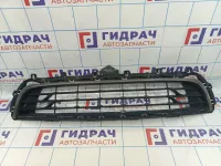 Решетка в бампер центральная Citroen  C4 II 9801885177