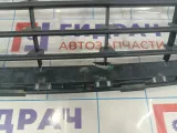 Решетка в бампер центральная Citroen  C4 II 9801885177