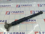 Амортизатор задний Citroen  C4 II 9811519480
