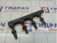 Рампа кассета катушек зажигания Citroen  C4 II 9800251580