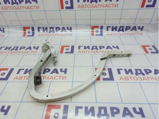 Петля крышки багажника левая Citroen  C4 II 9677495080