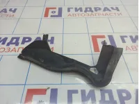 Накладка решетки стеклоочистителя левая Citroen  C4 II 9687956980