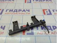 Рейка топливная рампа Citroen  C4 II 9676869280