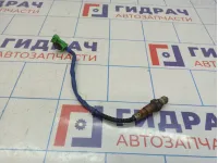 Датчик кислородный Citroen  C4 II 0258006028
