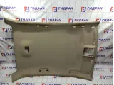 Обшивка потолка Citroen  C4 II 98014904DS