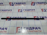Накладка стекла двери задней левой Citroen C4 II .