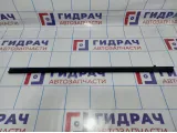 Накладка стекла двери задней правой Citroen C4 II .