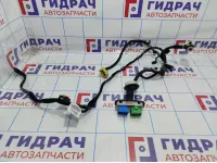 Проводка двери передней левой Citroen C4 II 9805560380.