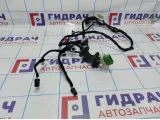 Проводка двери задней левой Citroen C4 II 9805561080.
