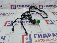 Проводка двери задней левой Citroen C4 II 9805561080.