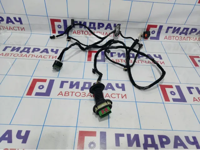 Проводка двери задней правой Citroen C4 II 9805561080.
