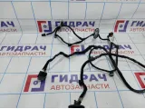 Проводка двери задней правой Citroen C4 II 9805561080.