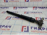 Амортизатор задний Citroen C4 II 9803764680.