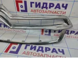 Накладка на решетку радиатора Citroen C4 II 98018853DX.