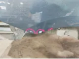 Крыло заднее правое Citroen C4 II 1609550180. Дефект ЛКП.