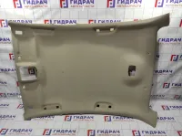 Обшивка потолка Citroen C4 II 98014904DS.