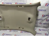Обшивка потолка Citroen C4 II 98014904DS.