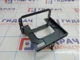 Рамка магнитолы Citroen C4 II 9687629380.