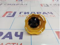 Болт крепления запасного колеса Citroen C4 II 7603R2.