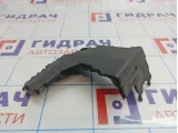 Крышка блока предохранителей Citroen C4 II 9666817180.