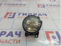 Фара противотуманная Citroen C4 II 9687410080.