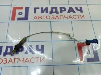 Датчик кислородный Citroen C4 II 1618V3.