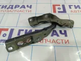 Петля капота правая Citroen C4 II 9676866980.