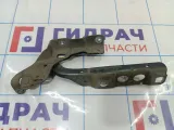 Петля капота левая Citroen C4 II 9676867080.