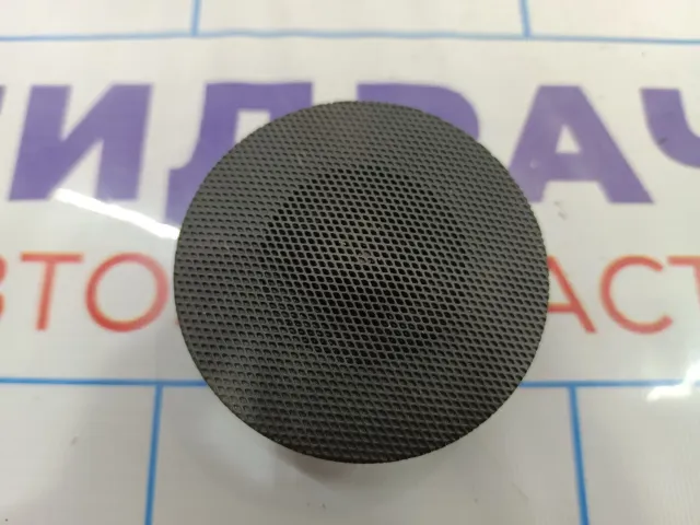Динамик Citroen C4 II 90220017304.