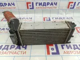Интеркулер Citroen C4 II 1440H9.