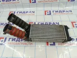 Интеркулер Citroen C4 II 1440H9.