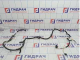 Проводка подкапотная Citroen C4 II 9674911280.