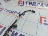 Проводка подкапотная Citroen C4 II 9674911280.