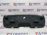 Обшивка крышки багажника Citroen C 4 98002137ZD.