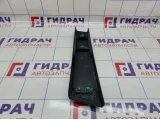 Накладка стойки средняя наружная левая Citroen C 4 98072548XT.